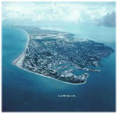 LA BIODIVERSIDAD EN CD. DEL CARMEN.